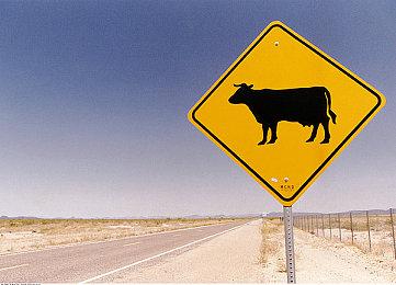 《师父》再推最新MOD作品 桐生一马乱入武侠世界